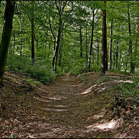 V Polich 3* Male Cicovice