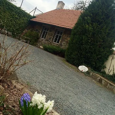 Guest house V Polich
