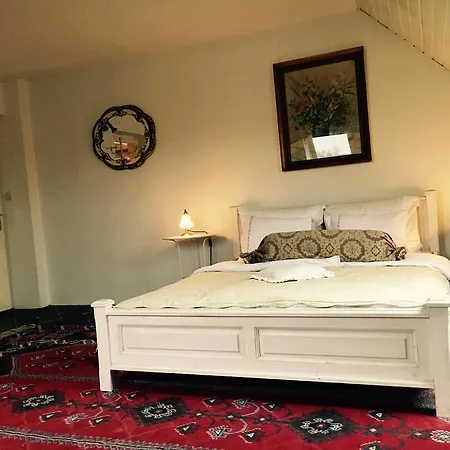 V Polich Guest house