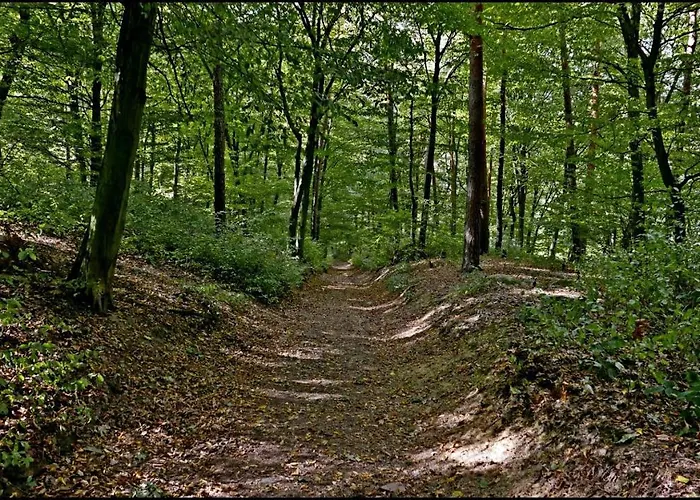 V Polich 3* Malé Číčovice
